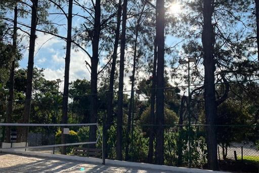 whatsapp image 2025-06-03 at 11.58.44.jpeg