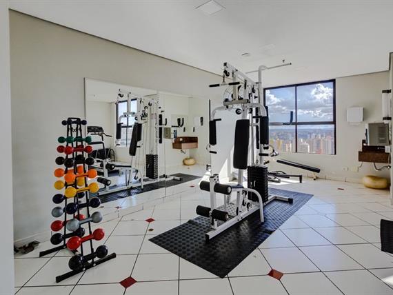 self - academia (7).jpg