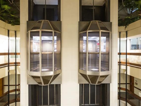 self - recepção (10).jpg