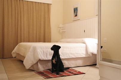 vitoria new port pet friendly 2.jpg