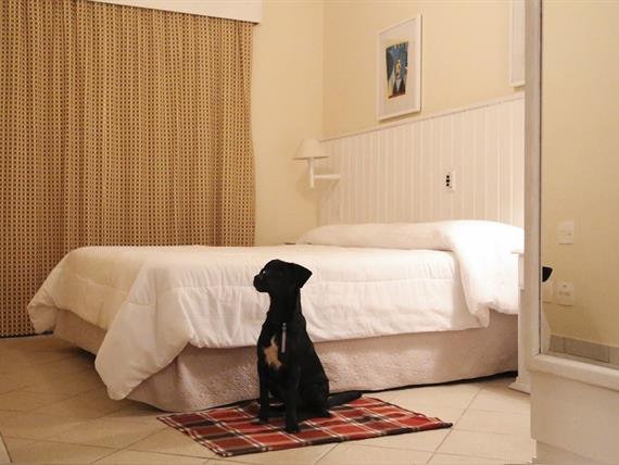 vitoria new port pet friendly 2.jpg