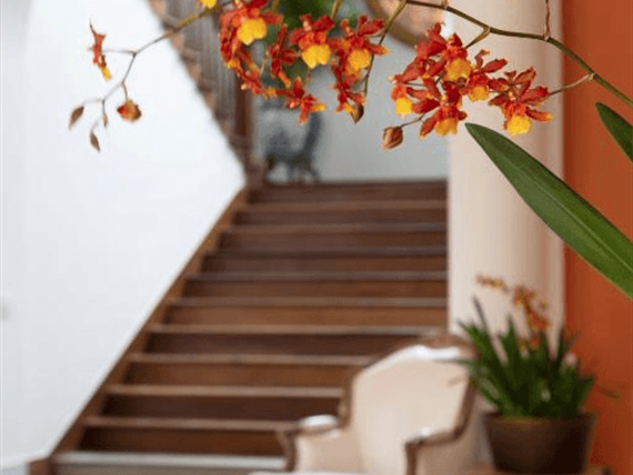 captura de tela 2025-02-25 103857.png