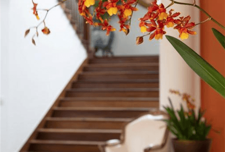 captura de tela 2025-02-25 103857.png