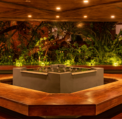 design sem nome (20).png