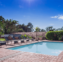 design sem nome (16).png