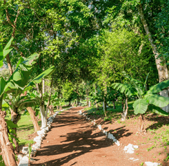 design sem nome (11).png