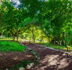 design sem nome (17).png