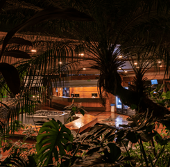 design sem nome (28).png