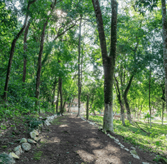 design sem nome (13).png