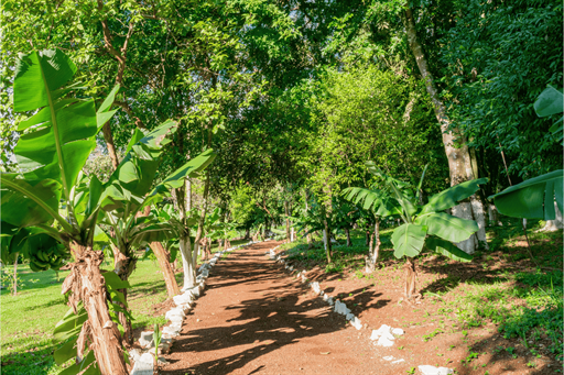 design sem nome (11).png