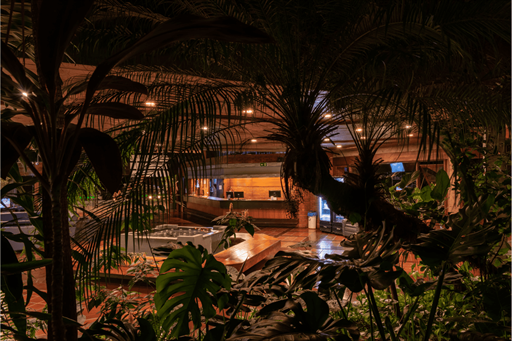 design sem nome (28).png