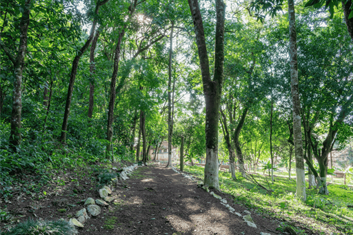 design sem nome (13).png