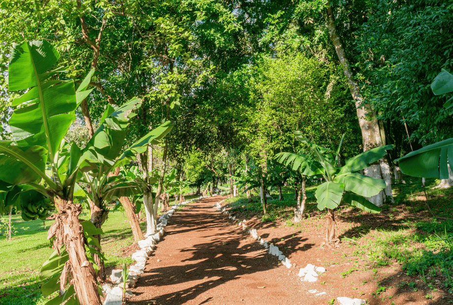 design sem nome (11).png