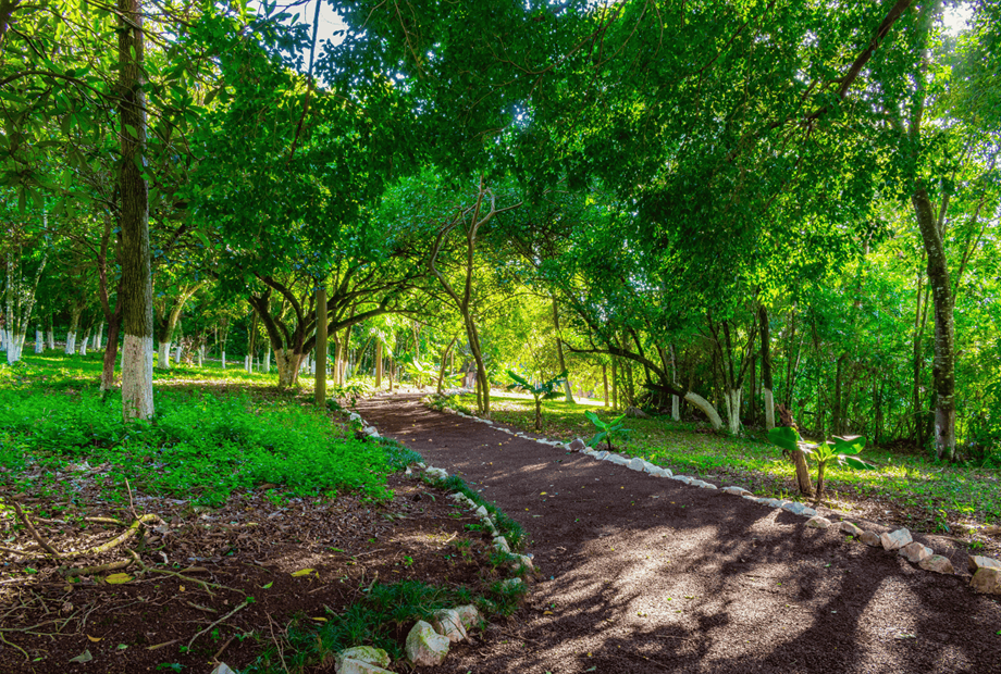 design sem nome (17).png