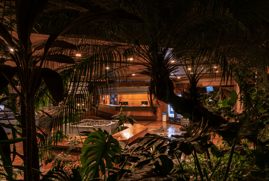 design sem nome (28).png