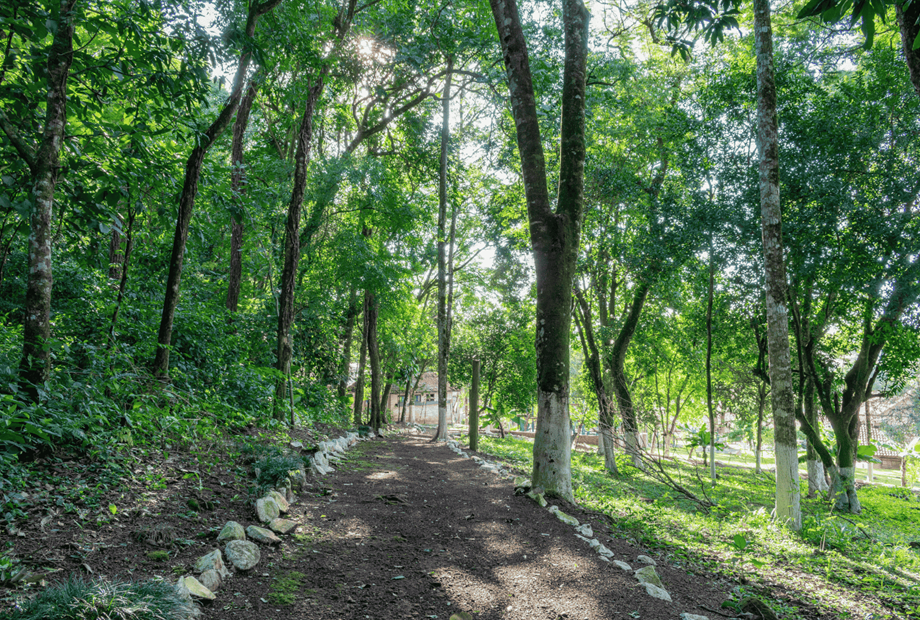 design sem nome (13).png