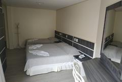 Semi Luxo TPL-Trem das Termas