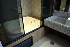 EXECUTIVO PRESIDENCIAL - PMS