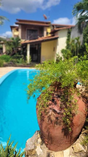 piscina ello atualizada 03.jpg