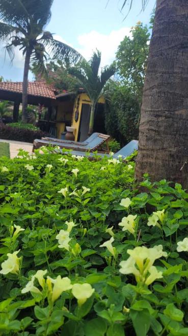 jardim e area de sol.jpg