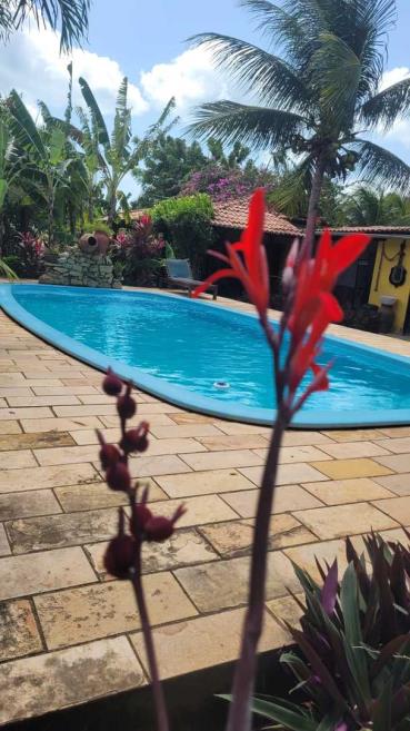 piscina ello atualizada 02.jpg