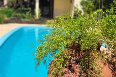 piscina ello atualizada 03.jpg