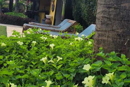 jardim e area de sol.jpg