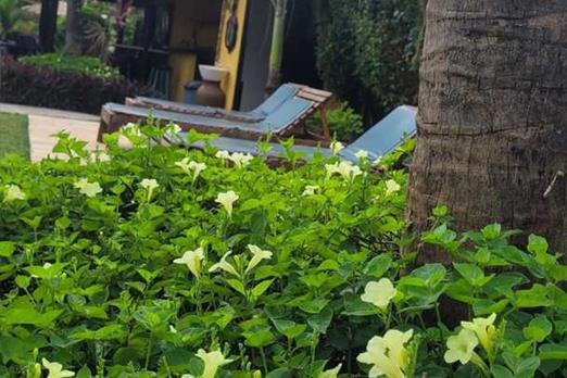 jardim e area de sol.jpg