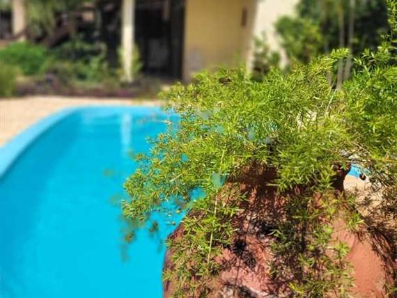 piscina ello atualizada 03.jpg