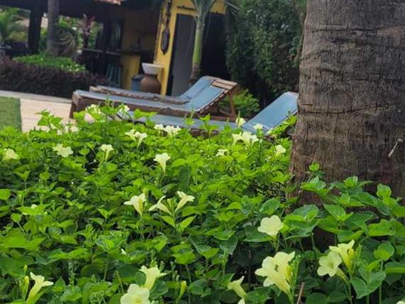 jardim e area de sol.jpg