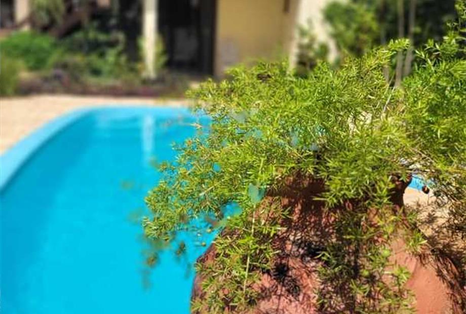 piscina ello atualizada 03.jpg