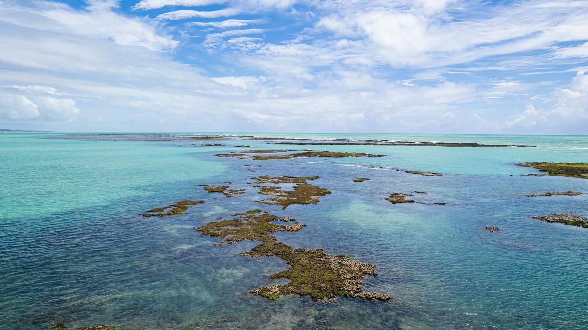 dji_0277[1].jpg