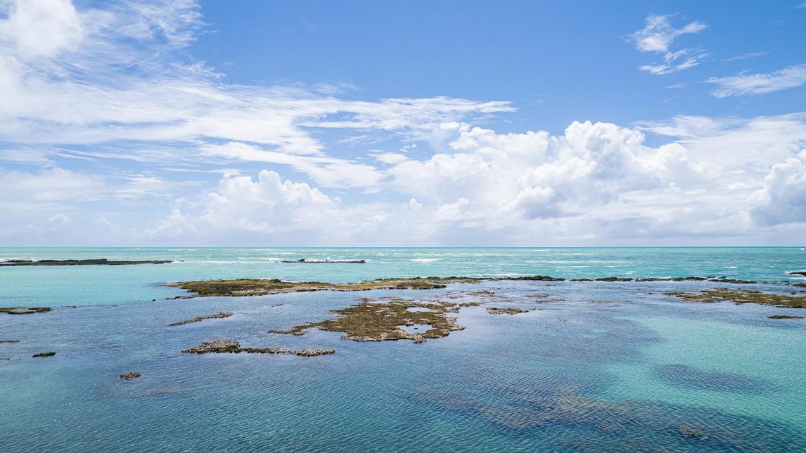 dji_0278[1].jpg