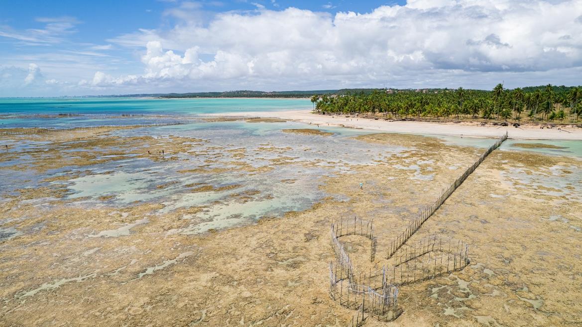 dji_0282[1].jpg