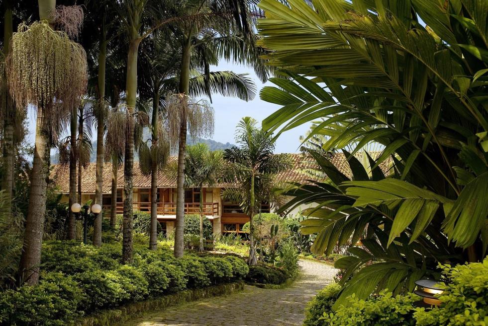 jardim 2.jpg