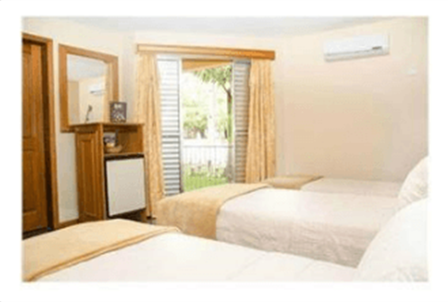 standard triplo twin-.png