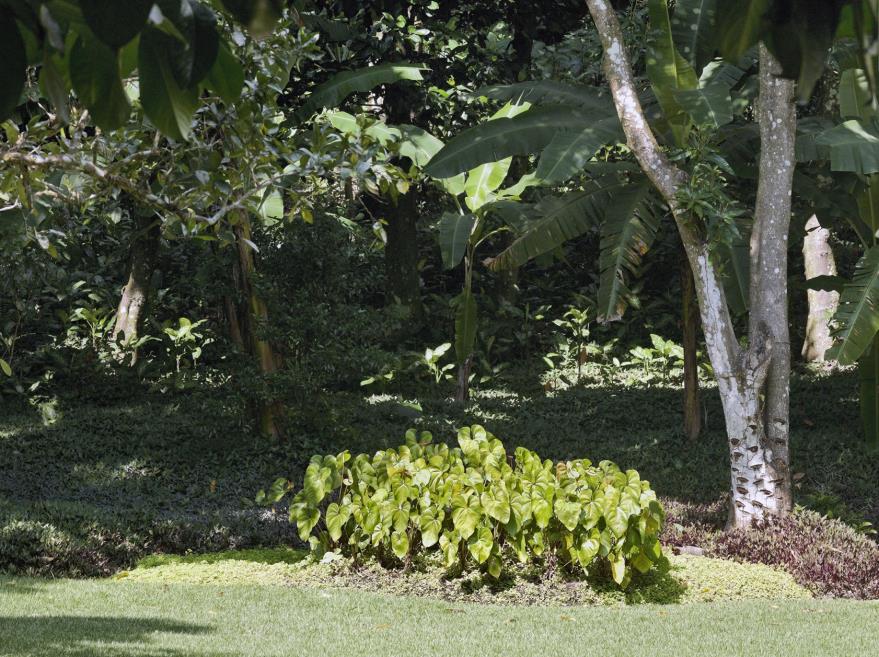 kurc_jardim_022.jpg