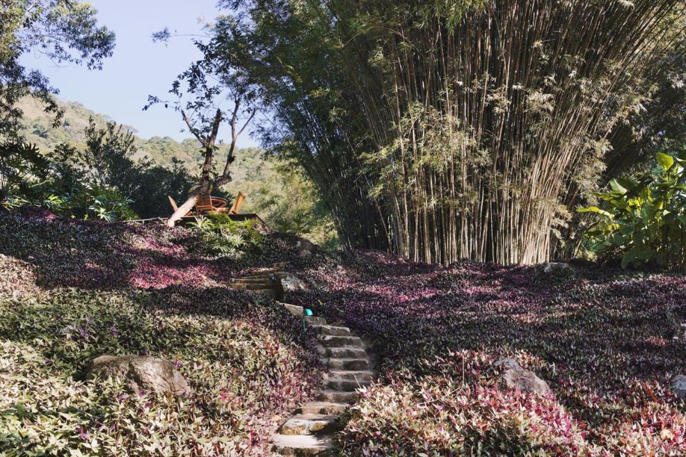 kurc_jardim_111.jpg