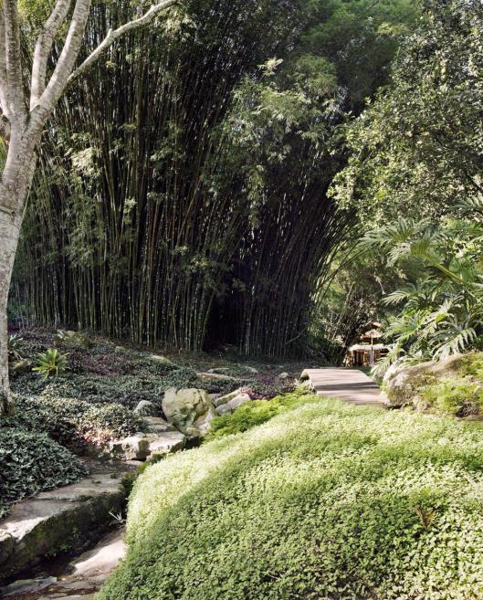 kurc_jardim_189.jpg