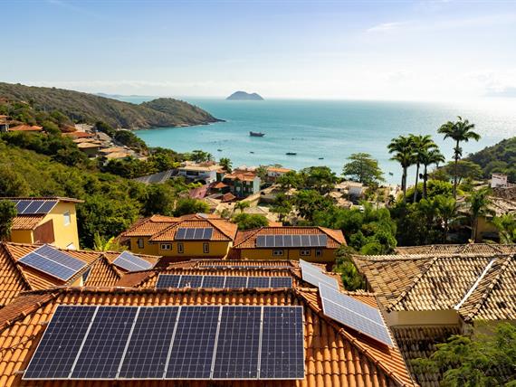 cópia de cópia de rb101551.jpg