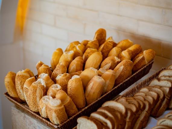 cópia de cópia de rbc08663.jpg