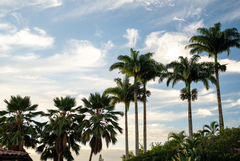 cópia de búzios mar-25.jpg