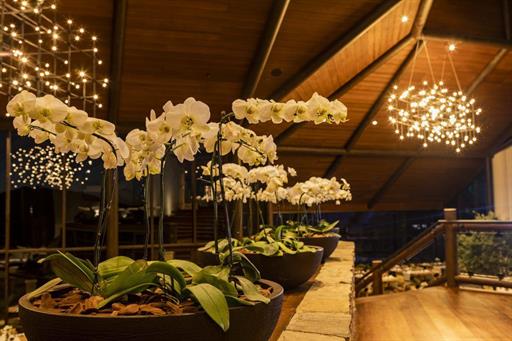 restaurante principal 3resultado.jpg