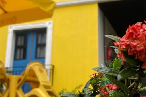 vista de tras com plantas.jpeg