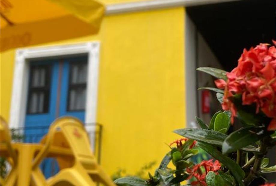 vista de tras com plantas.jpeg