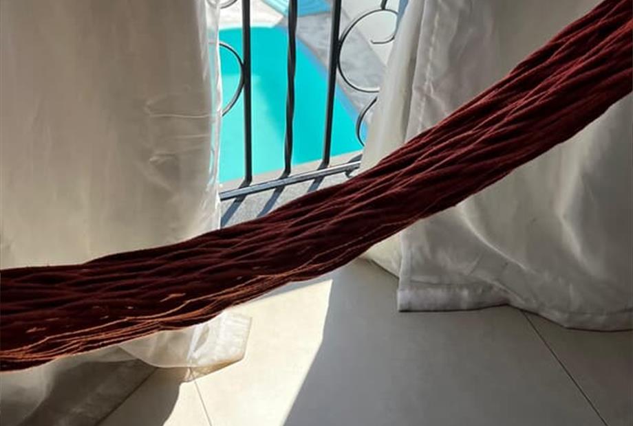 whatsapp image 2026-01-12 at 16.04.53 (1).jpeg