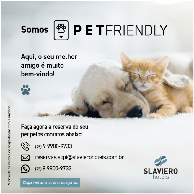 card-pet-friendly-slaviero hoteis_scpi.png