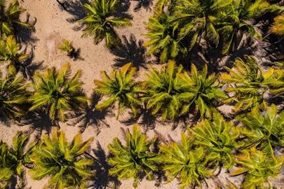 scpi - destino - variadas (16).jpg