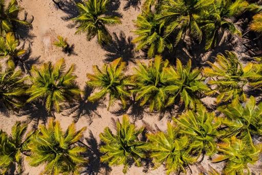 scpi - destino - variadas (16).jpg