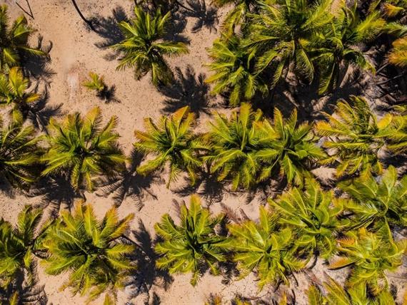 scpi - destino - variadas (16).jpg